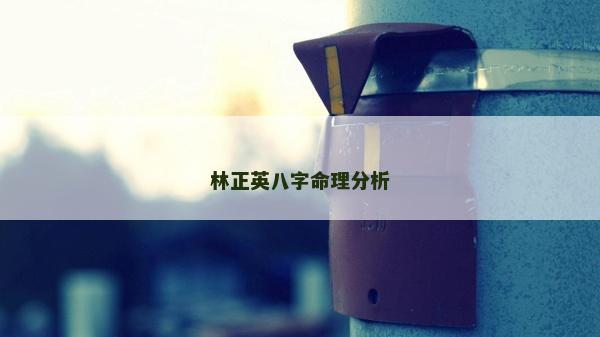 林正英八字命理分析