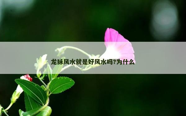 龙脉风水就是好风水吗?为什么