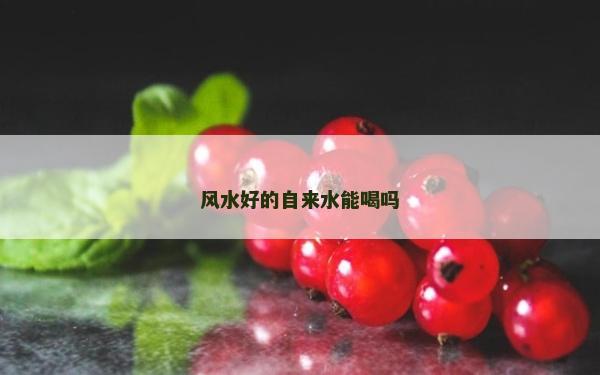 风水好的自来水能喝吗