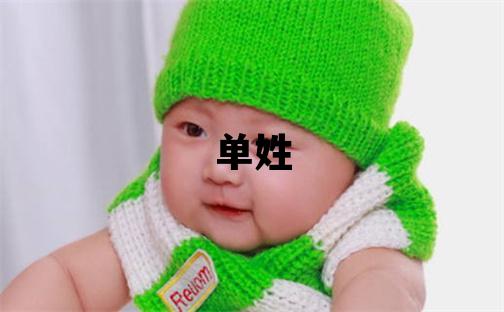 单姓有涵养的男宝宝名字