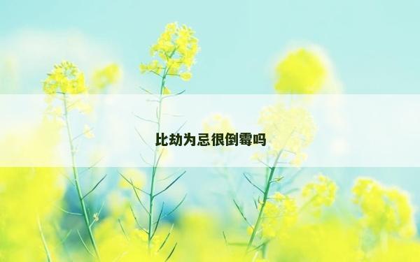 比劫为忌很倒霉吗