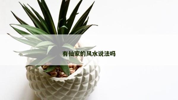 有仙家的风水说法吗
