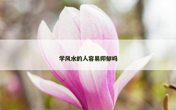 学风水的人容易抑郁吗