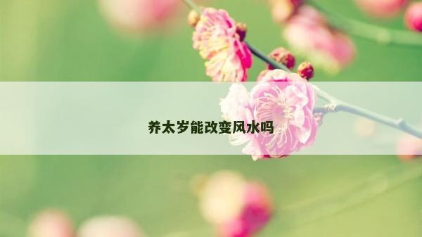 养太岁能改变风水吗