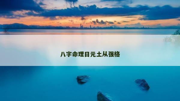 八字命理日元土从强格