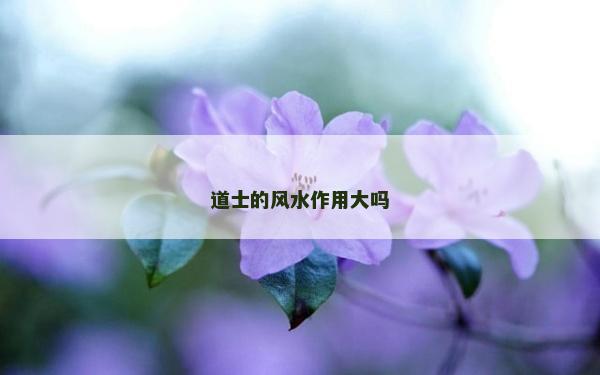 道士的风水作用大吗