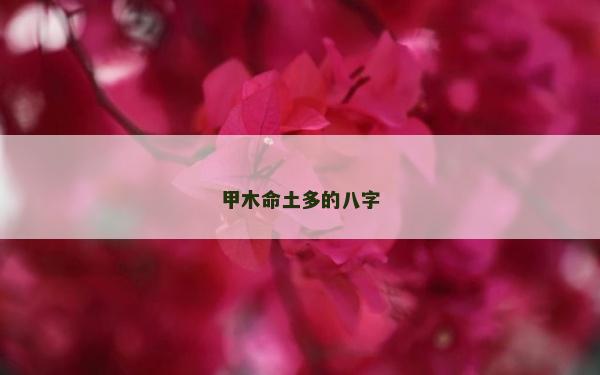 甲木命土多的八字