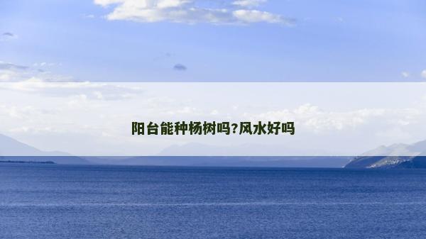 阳台能种杨树吗?风水好吗