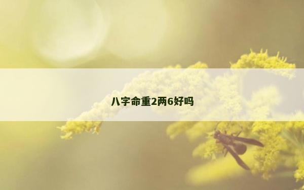 八字命重2两6好吗