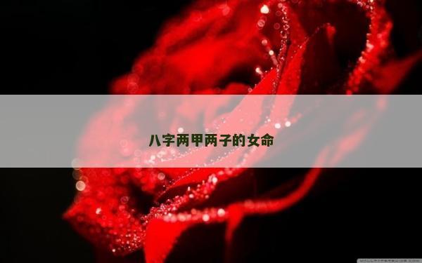 八字两甲两子的女命