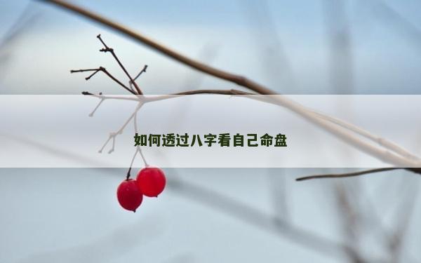 如何透过八字看自己命盘