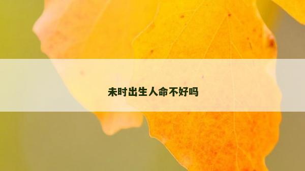 未时出生人命不好吗