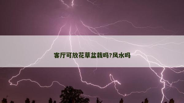 客厅可放花草盆栽吗?风水吗