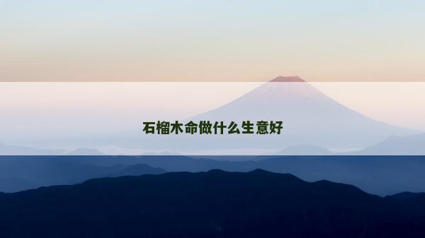 石榴木命做什么生意好