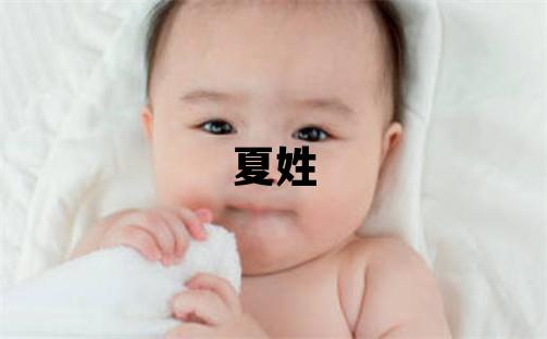 夏姓有含义的男孩名字,取什么名字好