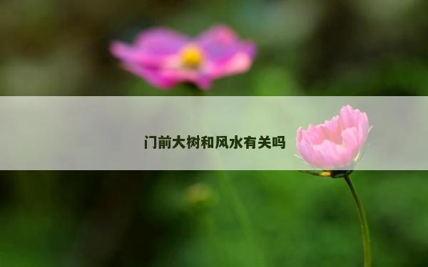 门前大树和风水有关吗