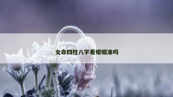 女命四柱八字看婚姻准吗