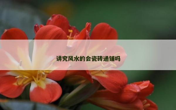 讲究风水的会瓷砖通铺吗