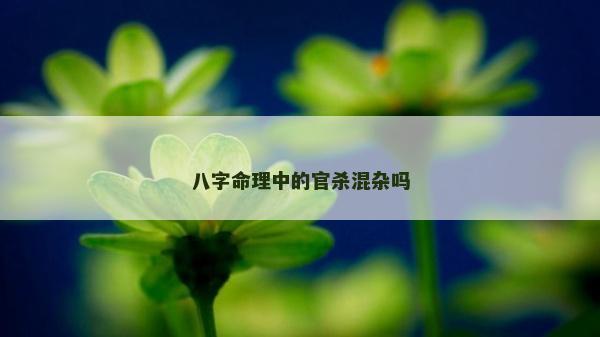 八字命理中的官杀混杂吗