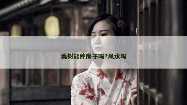 桑树能种房子吗?风水吗