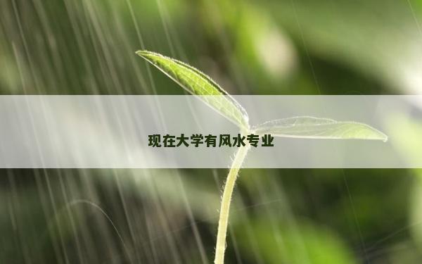 现在大学有风水专业