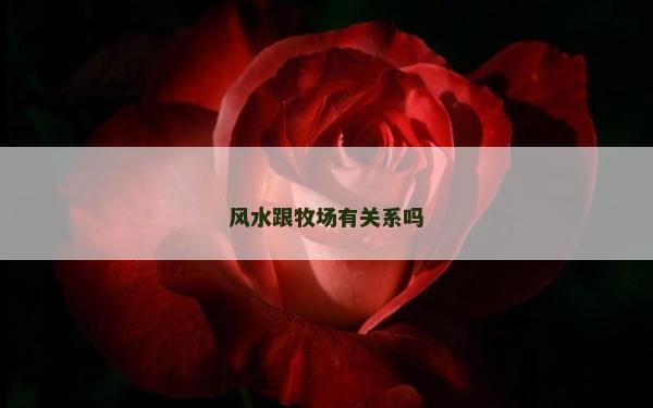 风水跟牧场有关系吗