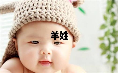 羊姓优美大方的男孩名字,取什么名字好