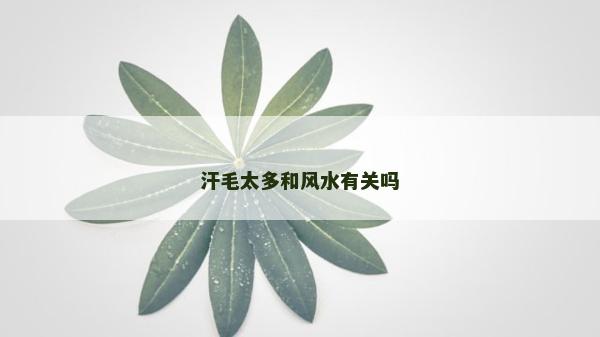 汗毛太多和风水有关吗