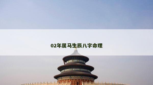02年属马生辰八字命理