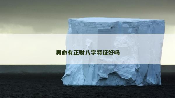男命有正财八字特征好吗