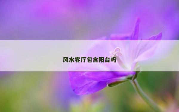 风水客厅包含阳台吗
