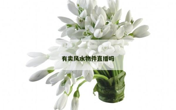 有卖风水物件直播吗