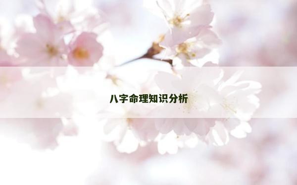 八字命理知识分析