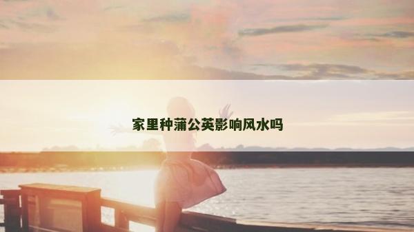 家里种蒲公英影响风水吗