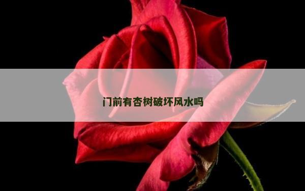 门前有杏树破坏风水吗