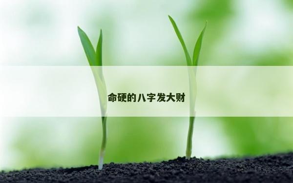 命硬的八字发大财