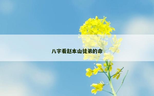 八字看赵本山徒弟的命