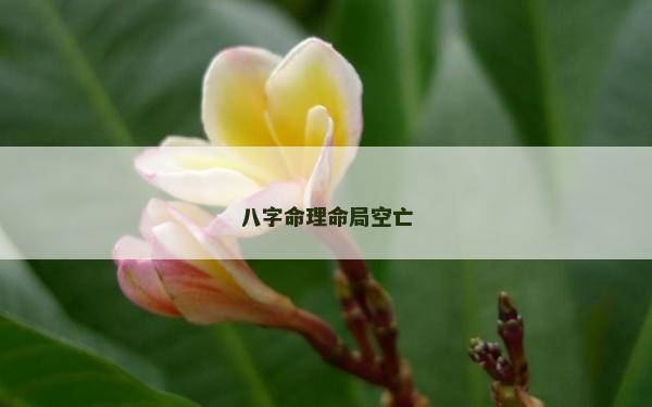 八字命理命局空亡