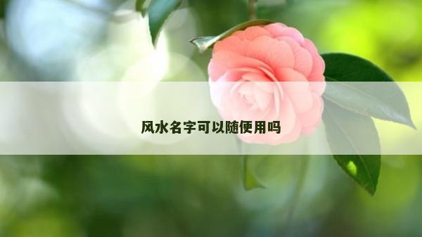 风水名字可以随便用吗