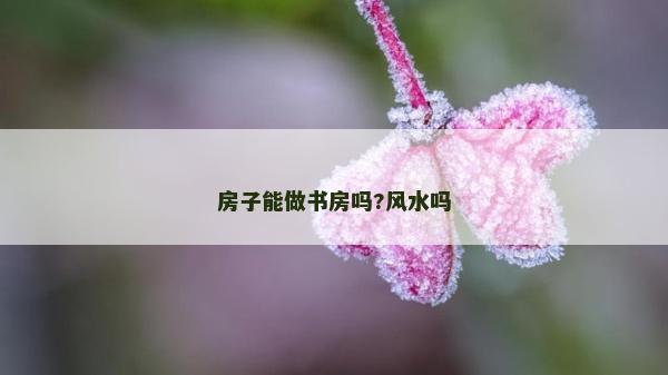 房子能做书房吗?风水吗
