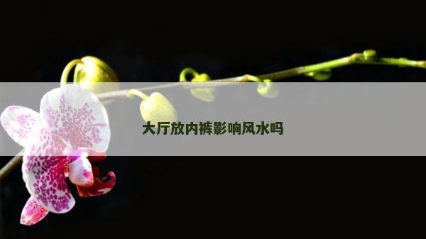 大厅放内裤影响风水吗