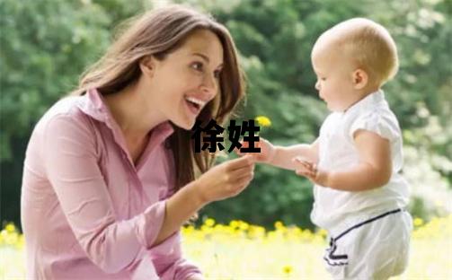 徐姓吉利的男宝宝名字