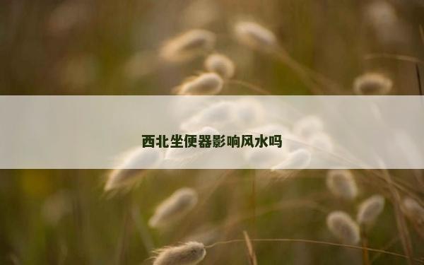 西北坐便器影响风水吗
