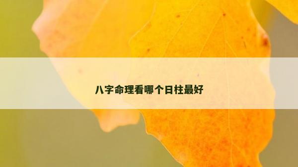 八字命理看哪个日柱最好