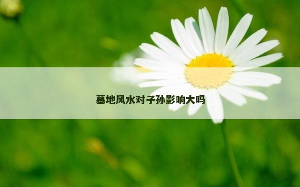墓地风水对子孙影响大吗