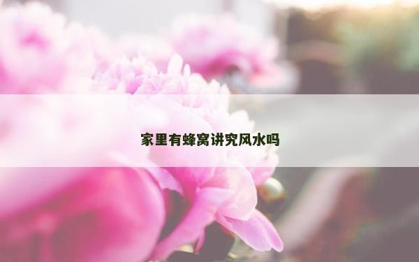 家里有蜂窝讲究风水吗