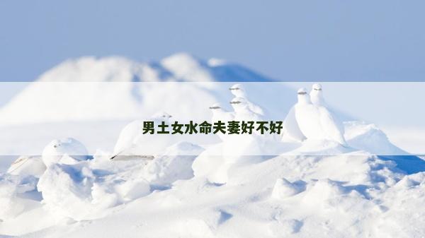 男土女水命夫妻好不好