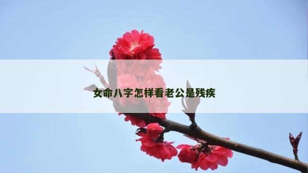 女命八字怎样看老公是残疾