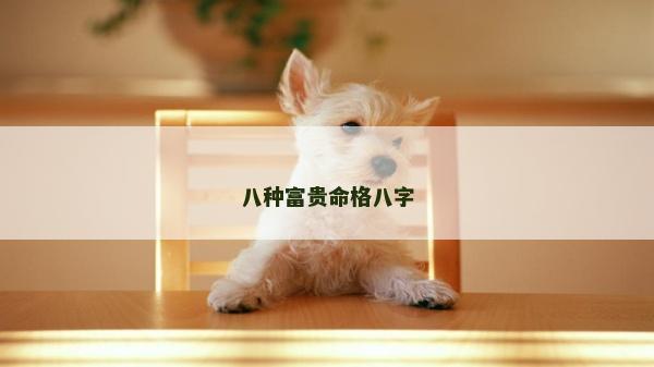 八种富贵命格八字