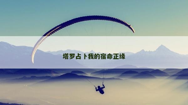 塔罗占卜我的宿命正缘